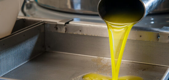 Olive oil running from a steel pipe into a metal decanter inside an oil mill